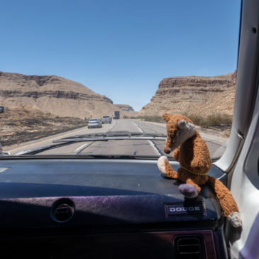 Fahrt in den Glutofen von Las Vegas