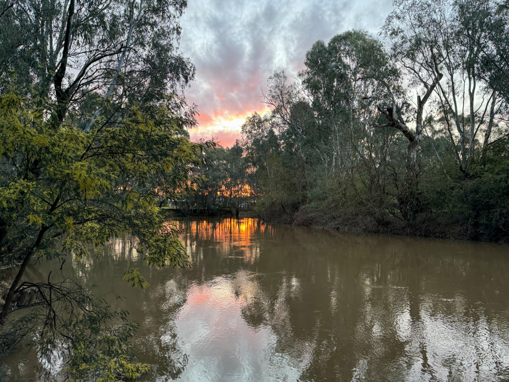 Mitten in Wangaratta: Der Owens River zieht sich malerisch und fast urwüchsig durch die Stadt