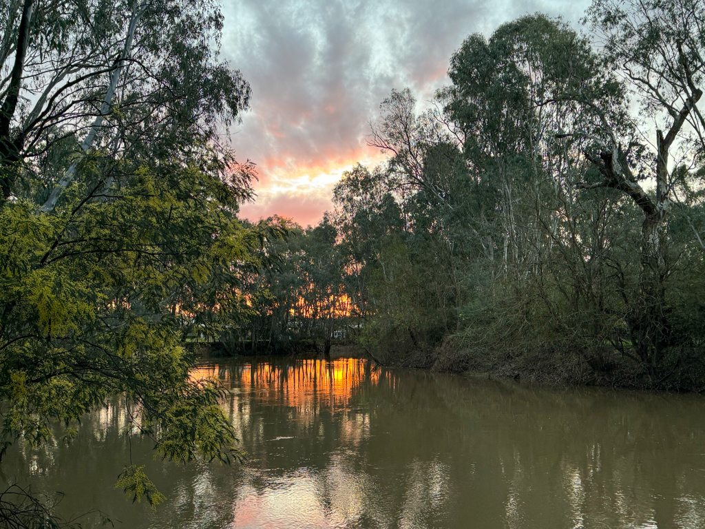 Mitten in Wangaratta: Der Owens River zieht sich malerisch und fast urwüchsig durch die Stadt