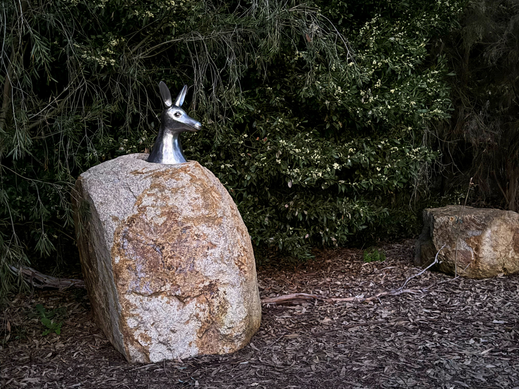 Unser erstes Känguru. Wenn auch (nur) als Kunstobjekt hier in Wangaratta