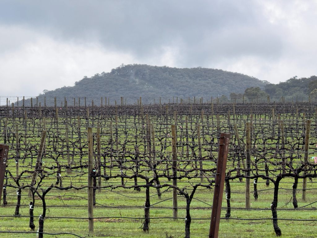 Weinanbaugebiet im King Valley
