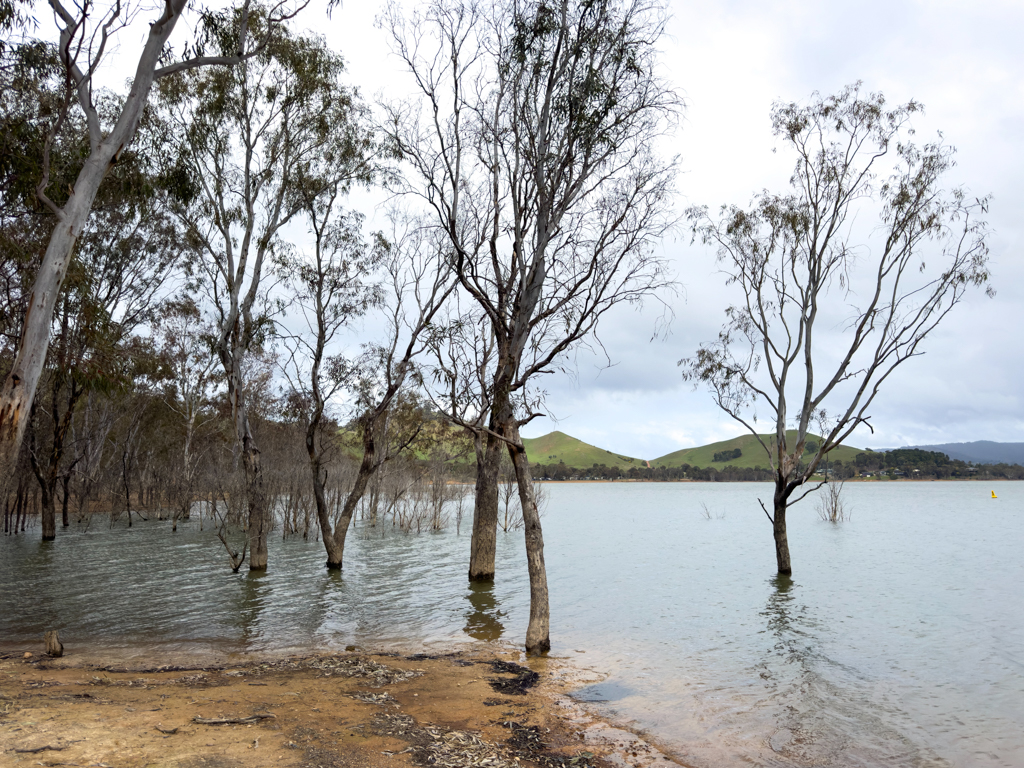 Der Stauseee Lake Eildon ist gut gefüllt