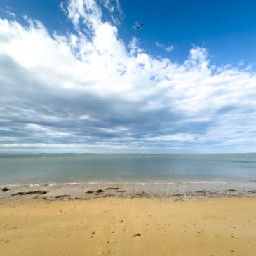 Jo findet das Glück am Strand