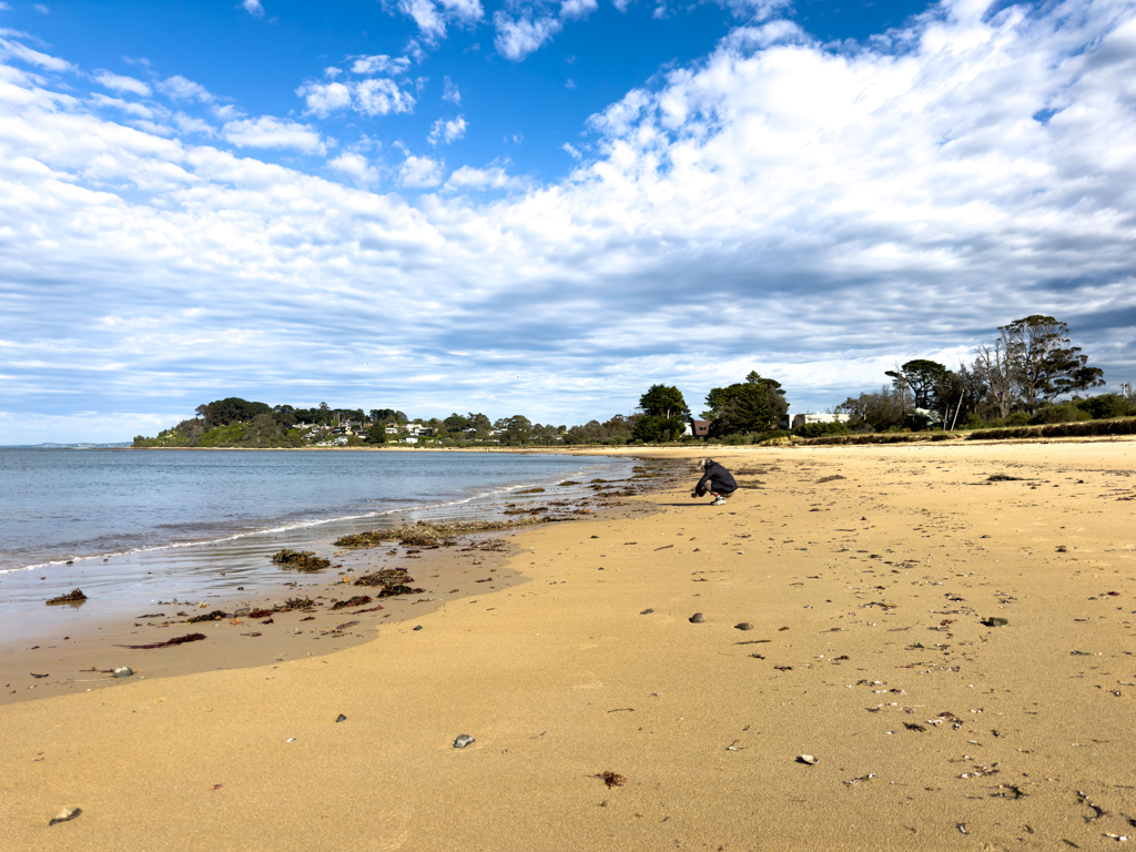 Ma fotografiert an der Balnarring Beach