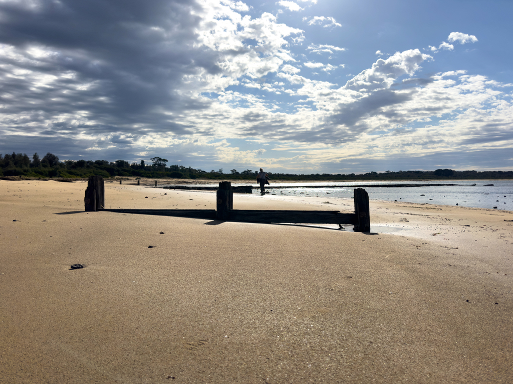 Strandspaziergang an der Balnarring Beach