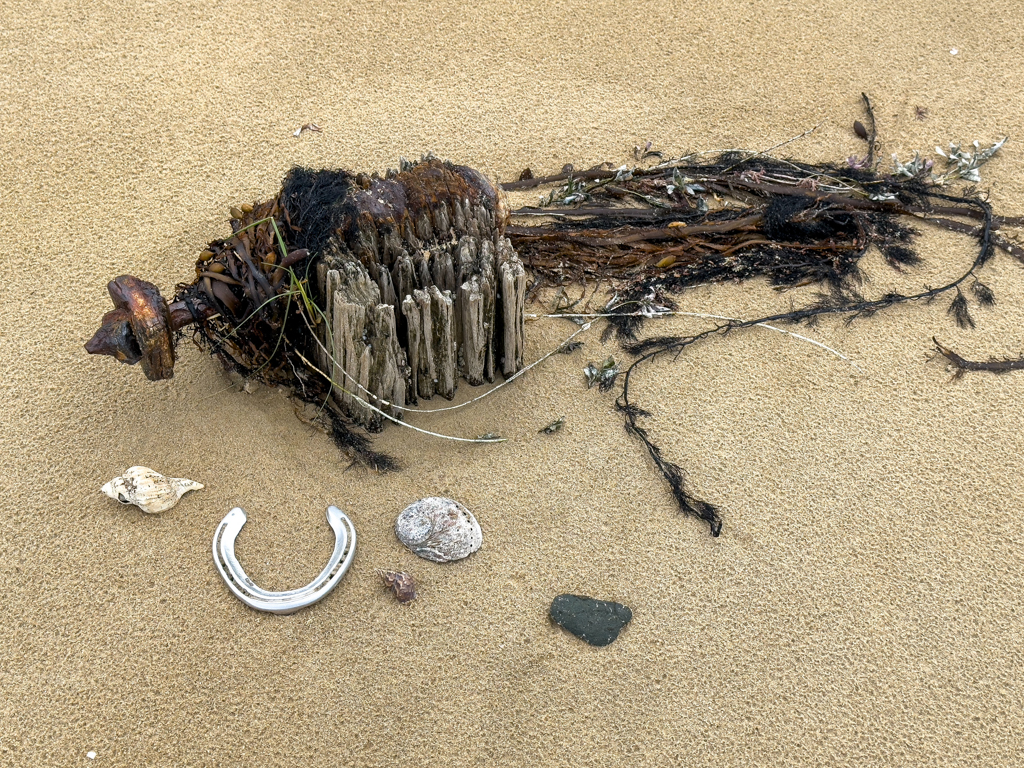 Strandgut in Balnarring Beach - das Hufeisen bringt uns Glück!