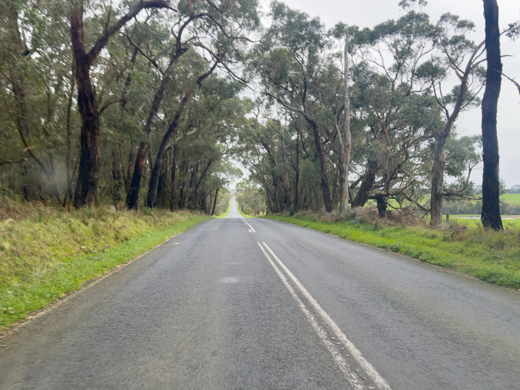 Auf dem Weg zum "Prom", Wilsons Promontory National Park