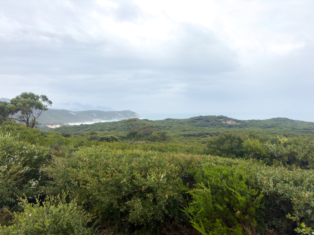 Küste im "Prom", Wilsons Promontory National Park