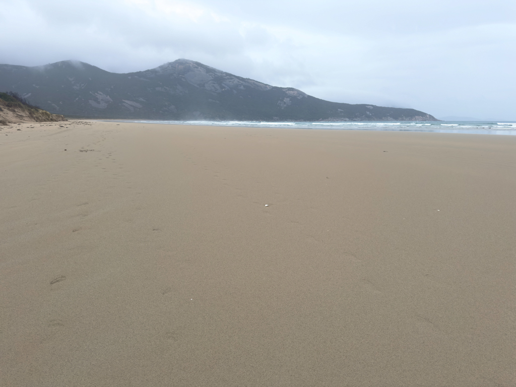 Strand beim Tidal River im "Prom", Wilsons Promontory National Park