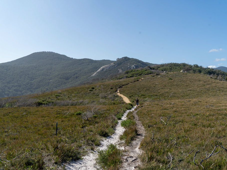 Wanderweg, Tidal Overlook Trail, Wilsons Promontory N.P.
