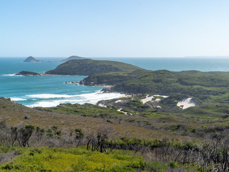 Aussicht auf die Squeaky Beach, Wilsons Promontory N.P.