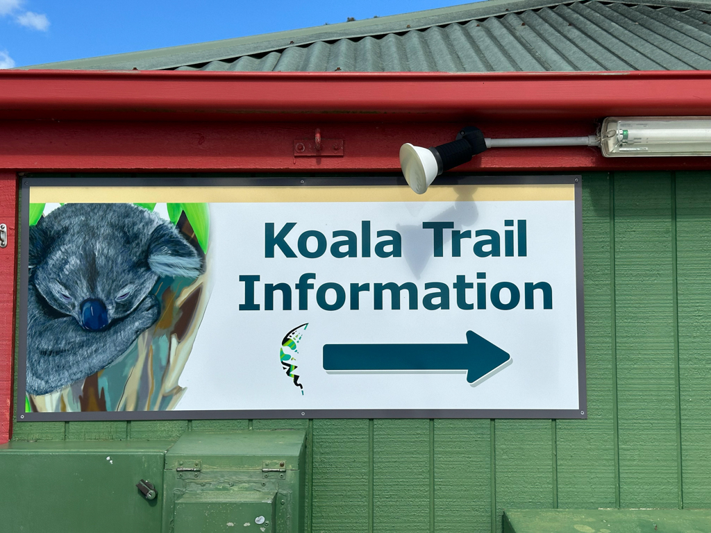 Auf zum Koala Trail!