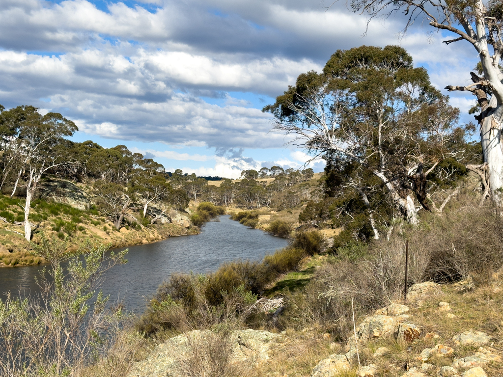 Bombala Platypus Reserve