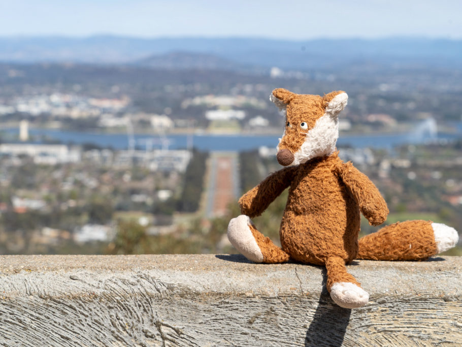 Mo geniesst die schöne Aussicht vom Mount Ainslie auf Canberra