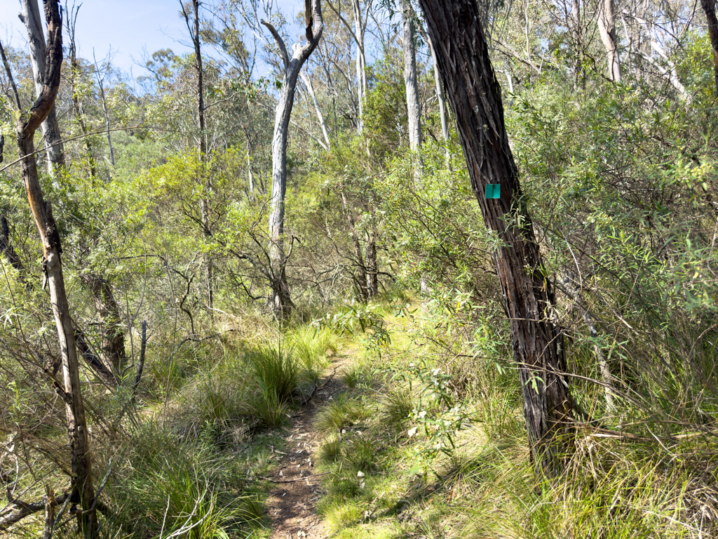 "Green Trail" im Bungonia Nationalpark