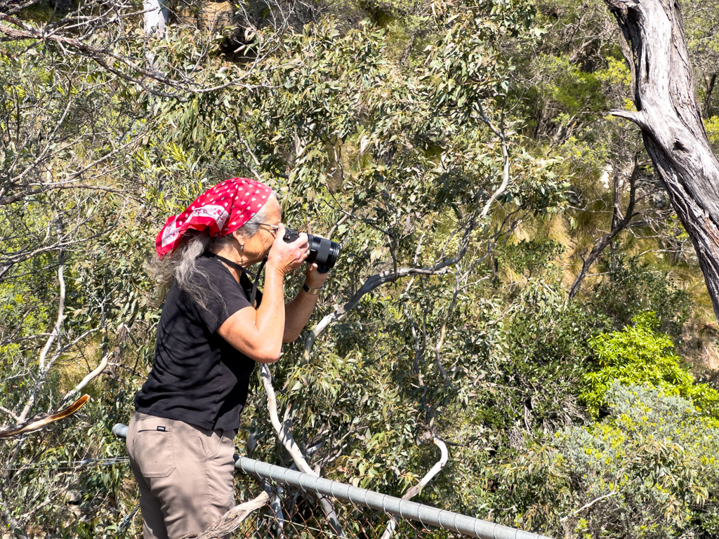 Ma beim Fotografieren am Jerrara Canyon, Bungonia Nationalparks