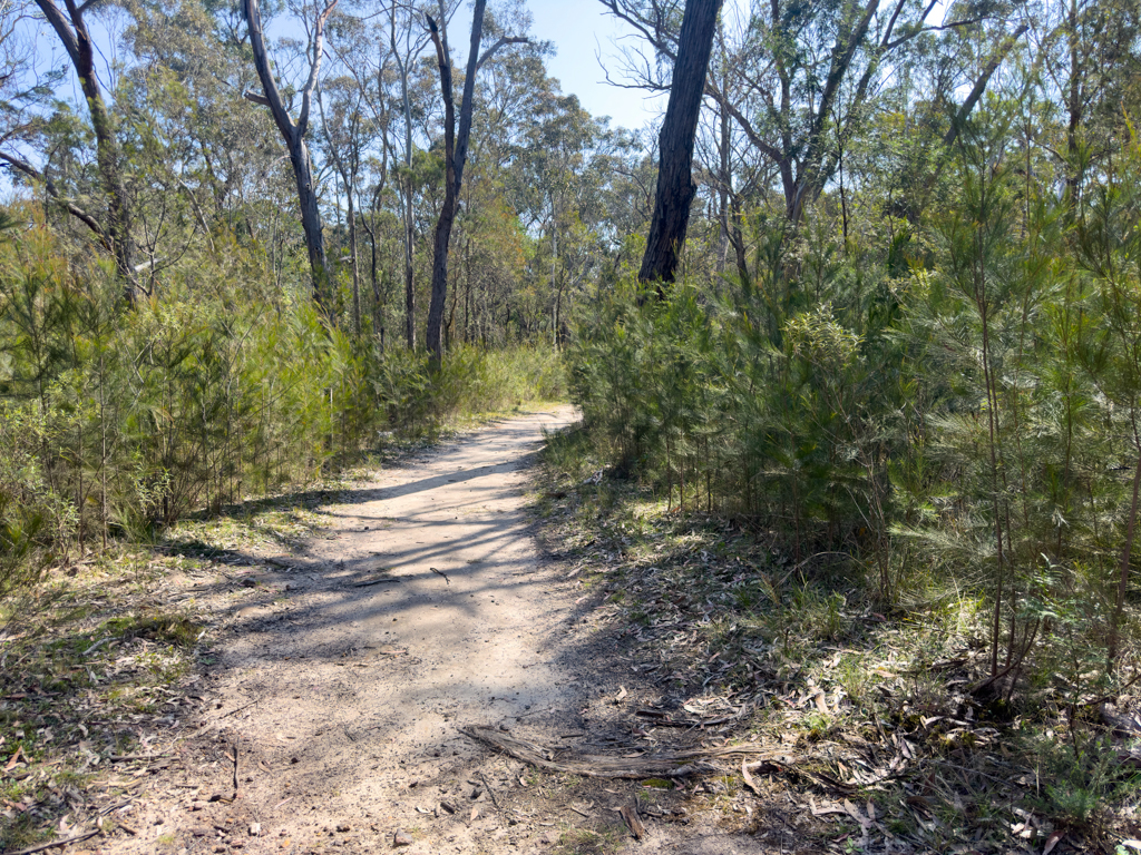 Auf dem "Green Trail", Bungonia Nationalpark