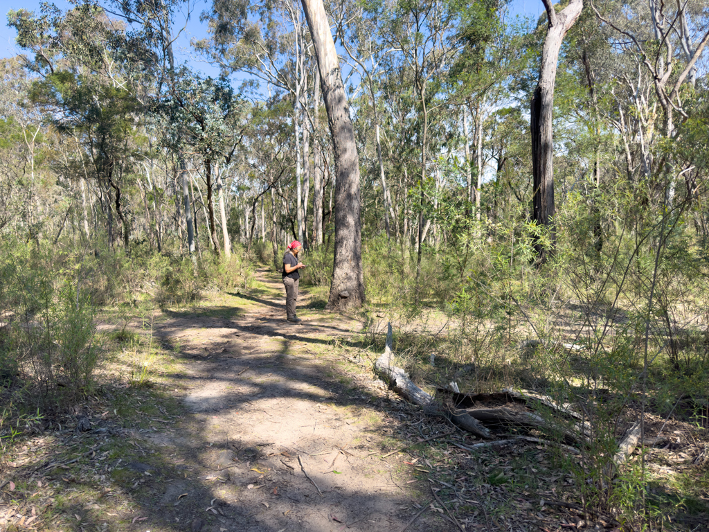 Ma auf dem "Green Trail", Bungonia Nationalpark