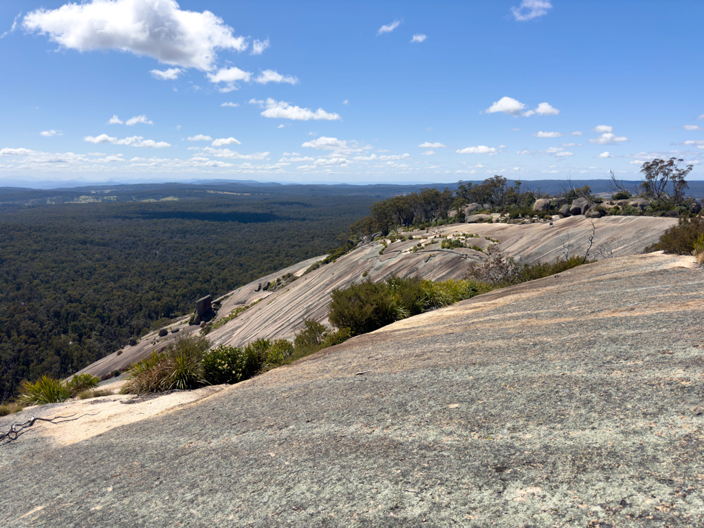 Die ausgewaschene und bewachsene Kuppe des Bald Rocks mit Blick auf das grüne Umland