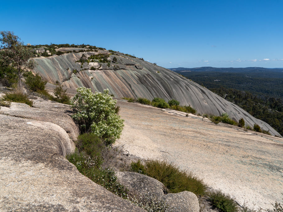 Die Kuppe des Bald Rocks mit ihrer eigenen Gesteinsstruktur