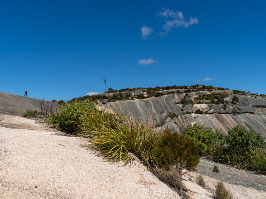 Die Kuppe des Bald Rocks mit ihrer eigenen Gesteinsstruktur