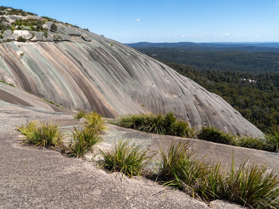 Die ausgewaschene Kuppe des Bald Rocks - mit weiten Blick auf die grün bewaldete Ebene