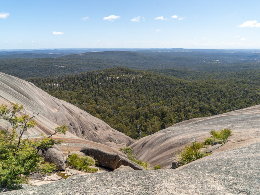 Die ausgewaschene Kuppe des Bald Rocks - mit weiten Blick auf die grün bewaldete Ebene