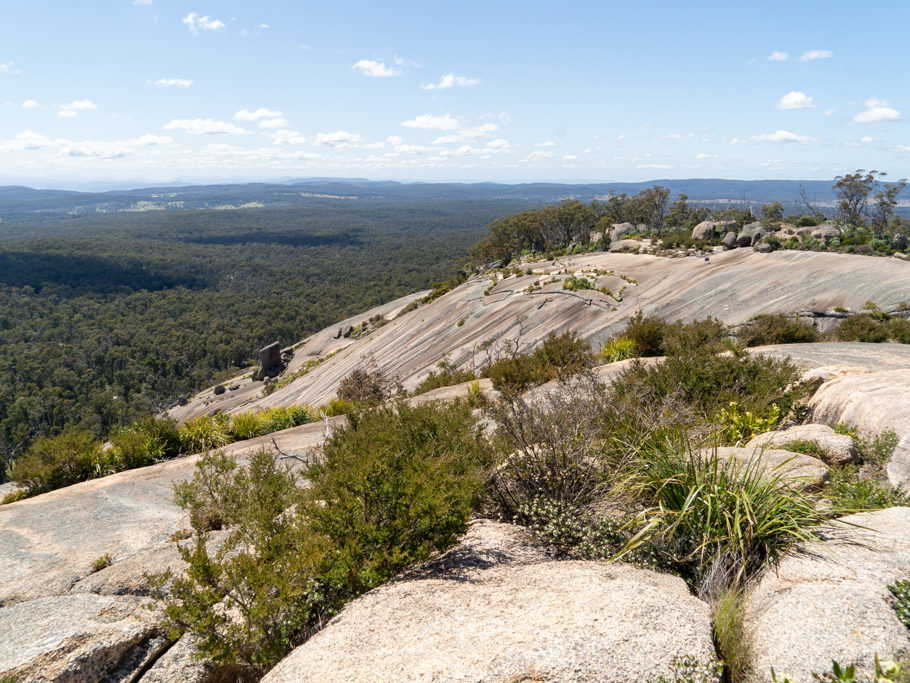 Die ausgewaschene und bewachsene Kuppe des Bald Rocks mit Blick auf das grüne Umland