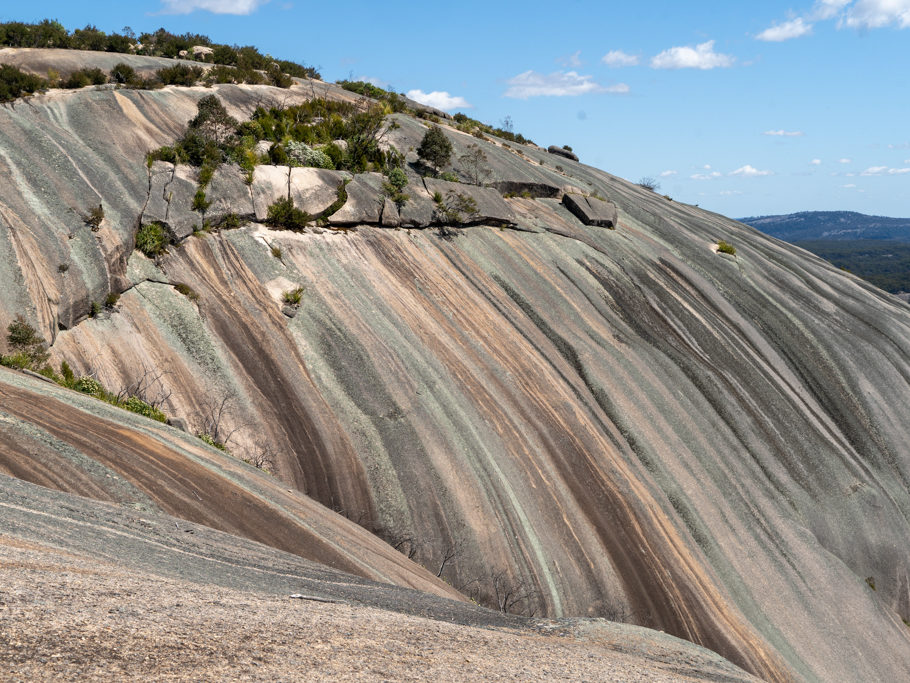 Flechten als Künstler: Die abgewaschenen Strähnen des Bald Rocks