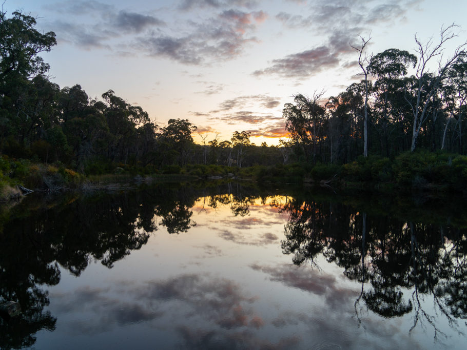 Abendstimmung beim Platypus-Teich des Boonoo Boonoo NP