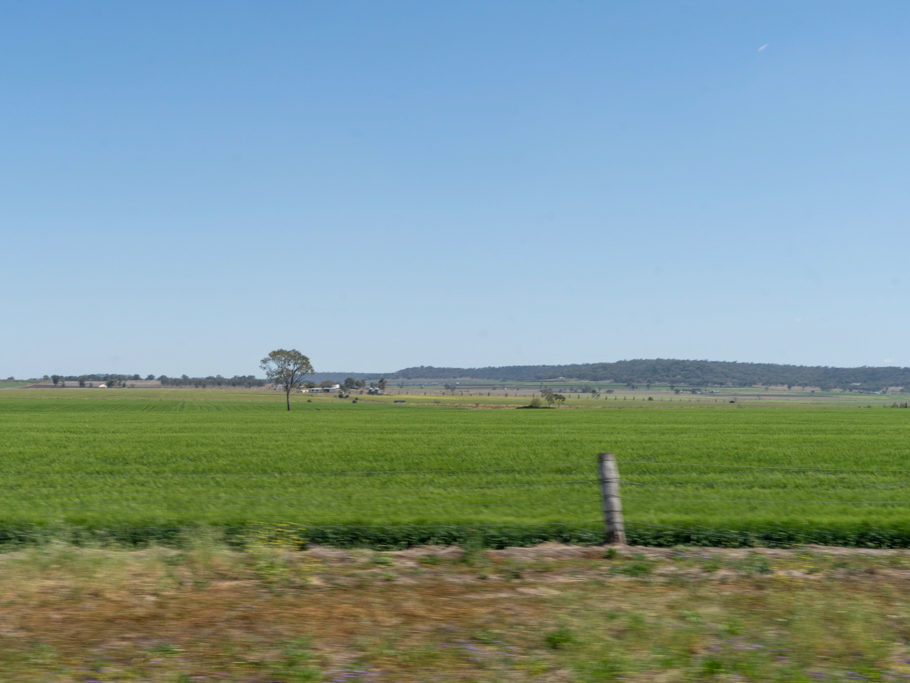 Queensland, die grüne weite Kornkammer Australiens. Abgeerntete Felder so weit das Auge reicht