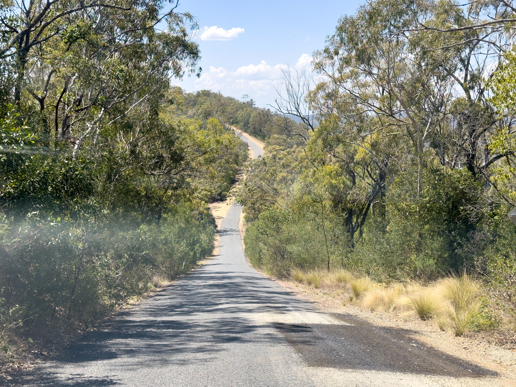 Die Strasse hin und retour zum Bunya NP Campground ist ein ständiges Auf und Ab....