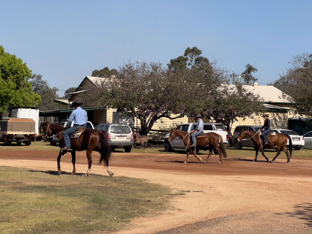 zwei Cowboys und ein Cowgirl auf dem Weg zum Campdrafting