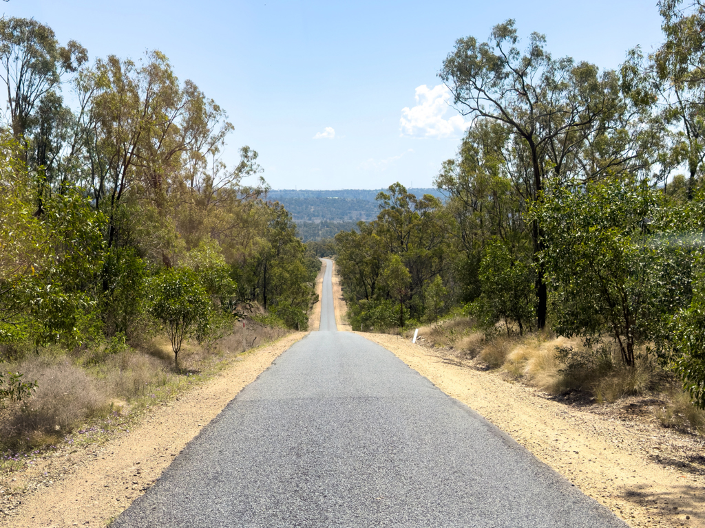 Die Strasse hin und retour zum Bunya NP Campground ist ein ständiges Auf und Ab....