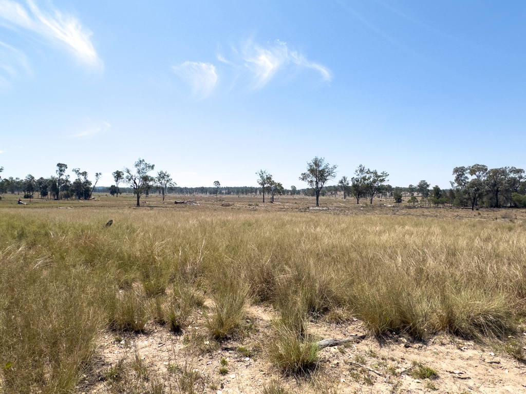 Landstriche, so wie man sich Australien vorstellt; weite dürre Flächen auf denen vereinzelt ein paar Bäume stehen