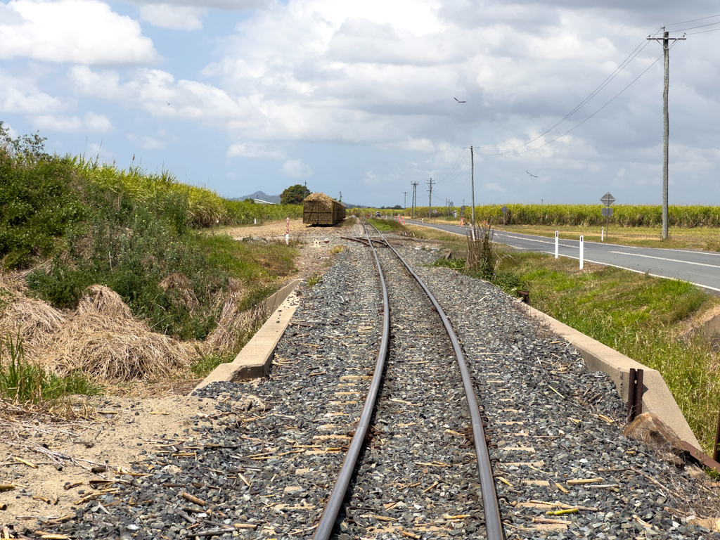 Gleisbett der kleinen Zuckerrohr Eisenbahn mit Waggons die auf den Transport warten