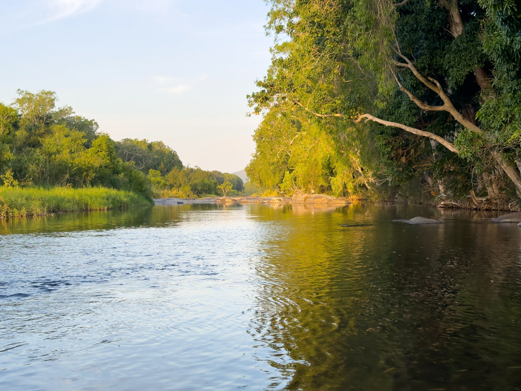 Der friedliche Cattle Creek im Abendlicht