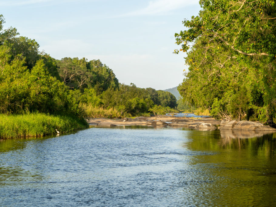 Der sanft dahin fliessende Cattle Creek im Nachmittagslicht