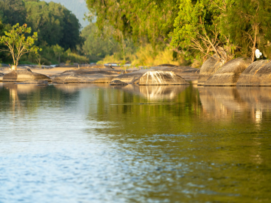 Ein Platypus schwimmt im Abendlicht im Cattle Creek