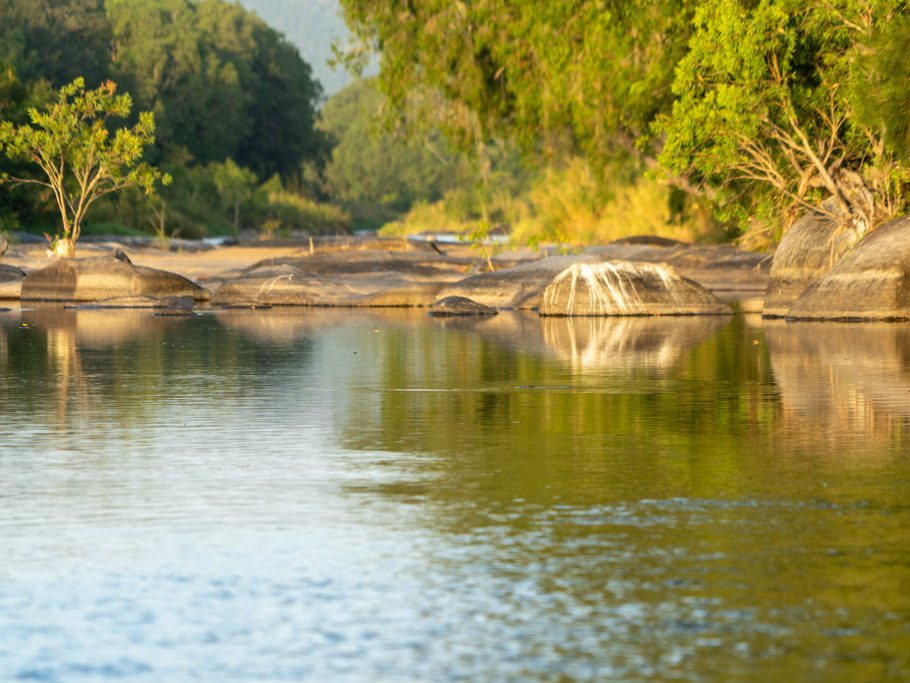 Ein Platypus schwimmt im Abendlicht im Cattle Creek