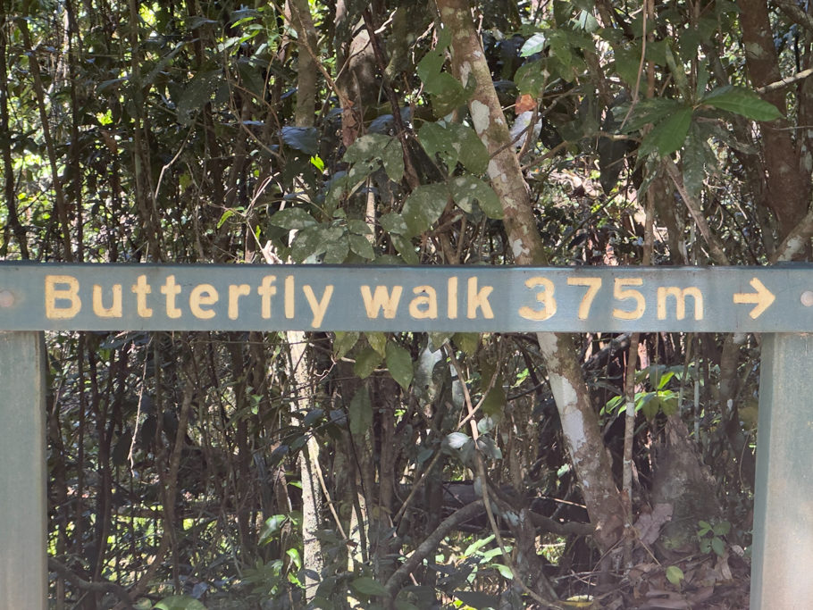 Butterfly Walk, Tully Gorge Nationalpark