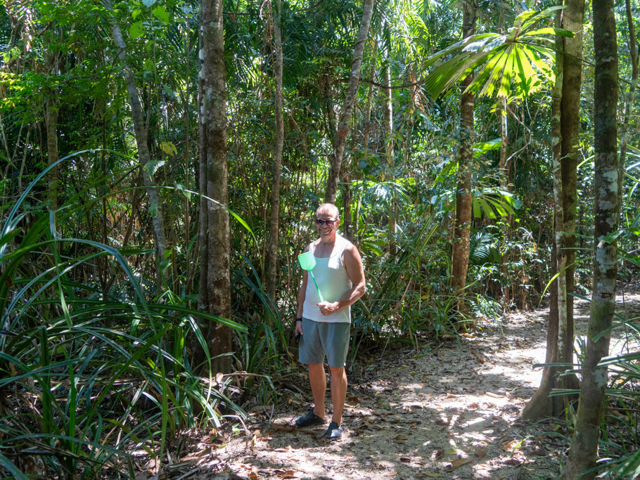 Jo mit Fliegenklatsche bewaffnet auf dem Butterfly Walk im Regenwald des Tully Gorge Nationalparks