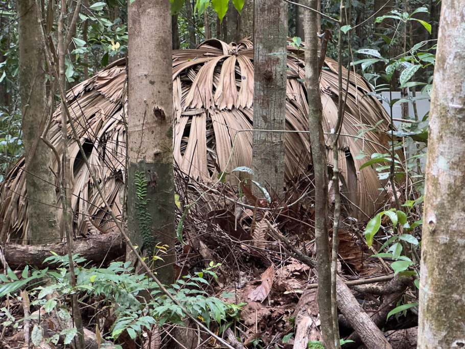 "This is a shelter, called Midja, that was recently constructed by the Ma:Mu Traditional Owners, and is a place of cultural significance."