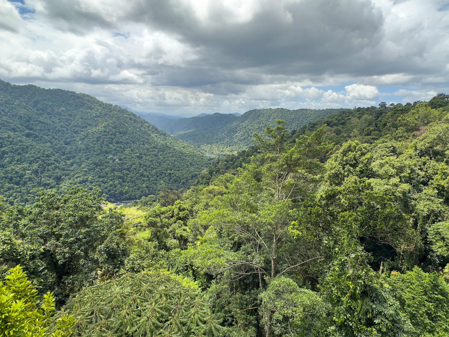 Das North Johnstone River Valley vom Aussichtsturm des Mamu Tropical Skywalk