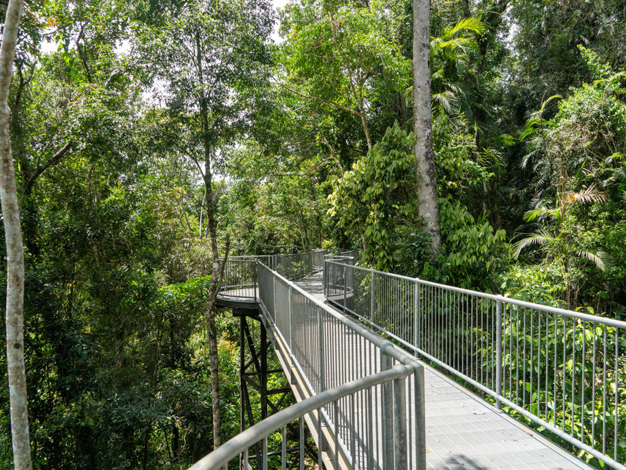 Mamu Tropical Skywalk