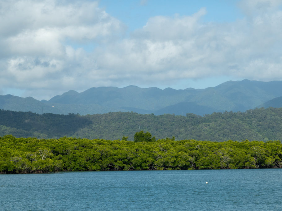 Where the rainforest meets the ocean... Daintree Regenwald und Great Barrier Reef