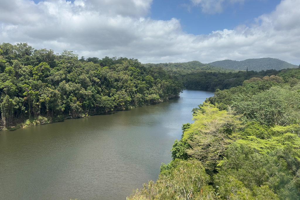 Der breite Barron River hier im Regenwald