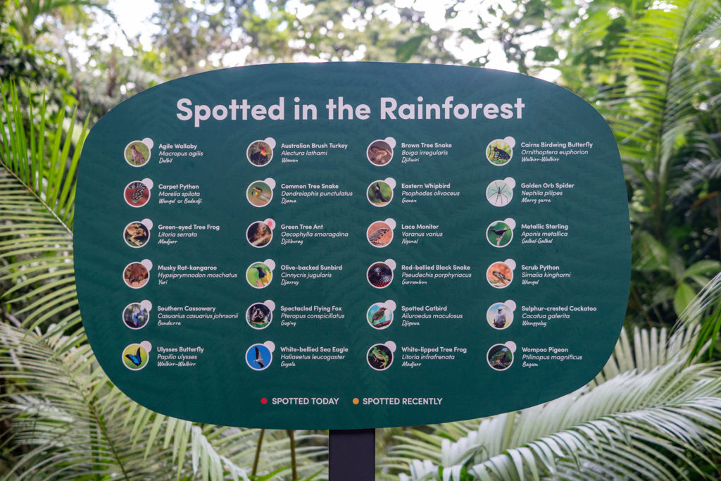 Eine der vielen Infotafel zum Regenwald