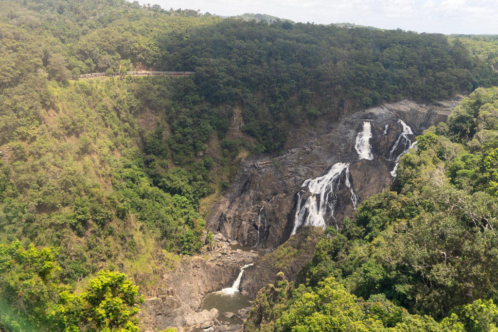 Die breiten Barron Wasserfälle die weiter unten zum Barron River werden