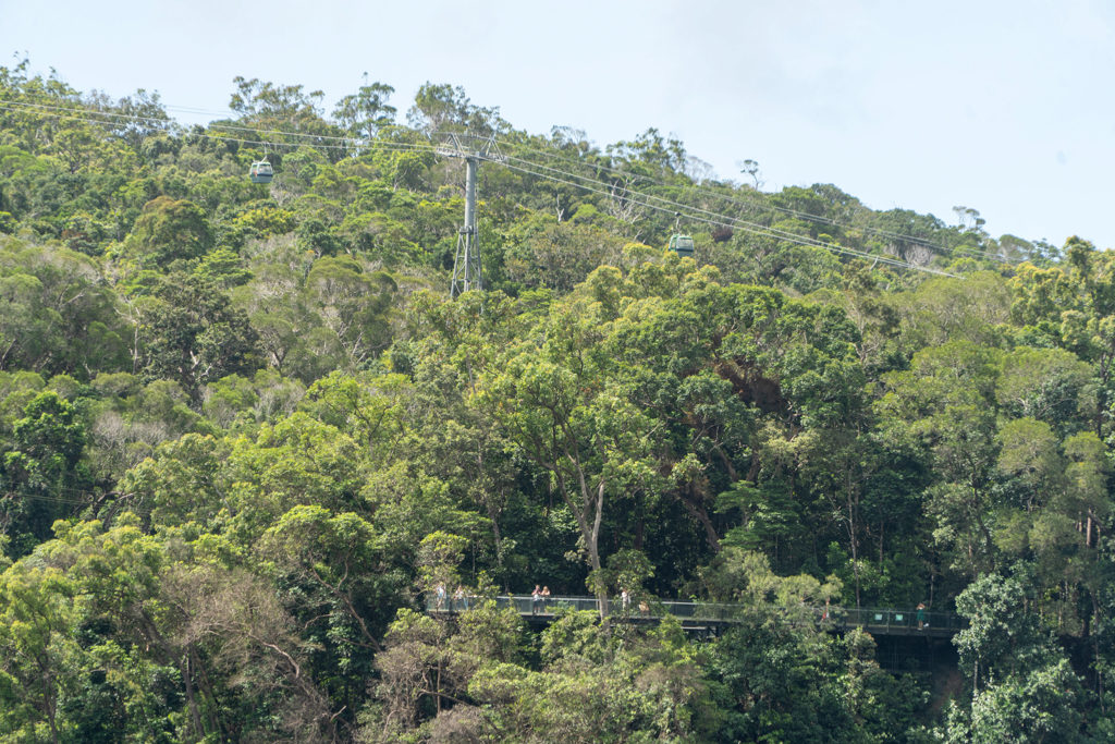 Von der Eisenbahnstation sieht man hinüber auf der anderen Seite des Barron River die Seilbahn mit Aussichtspunkt